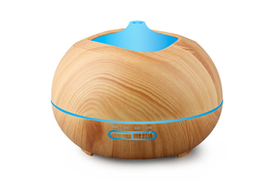 Aromatherapy diffuser-H166126B