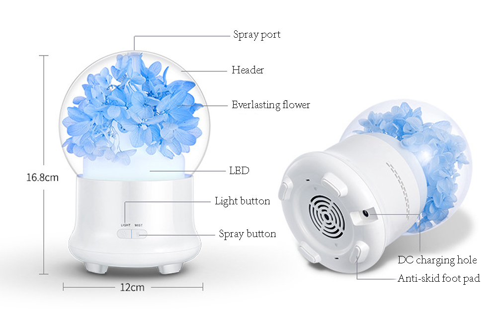 Preserved flower aroma diffuser