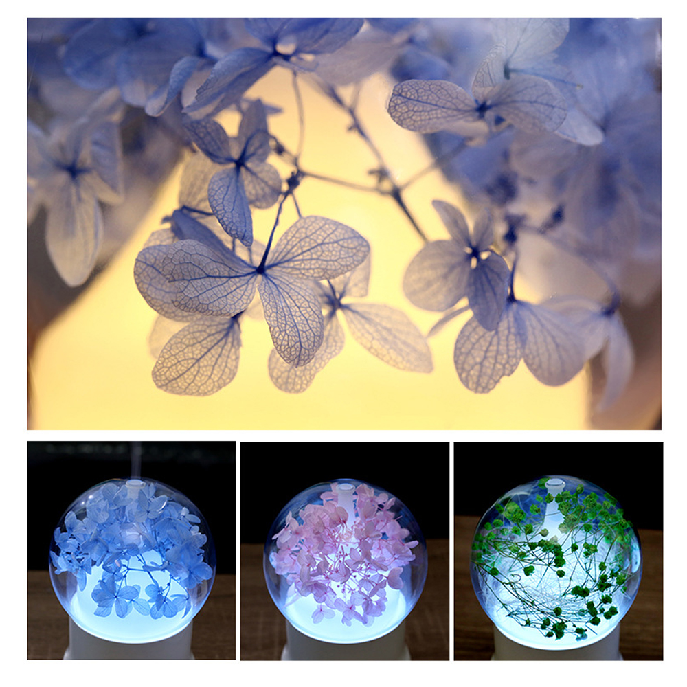 Preserved flower aroma diffuser