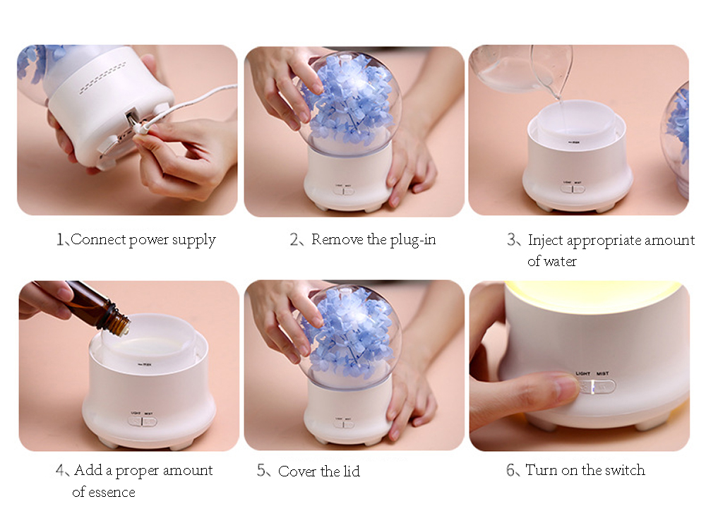 Preserved flower aroma diffuser