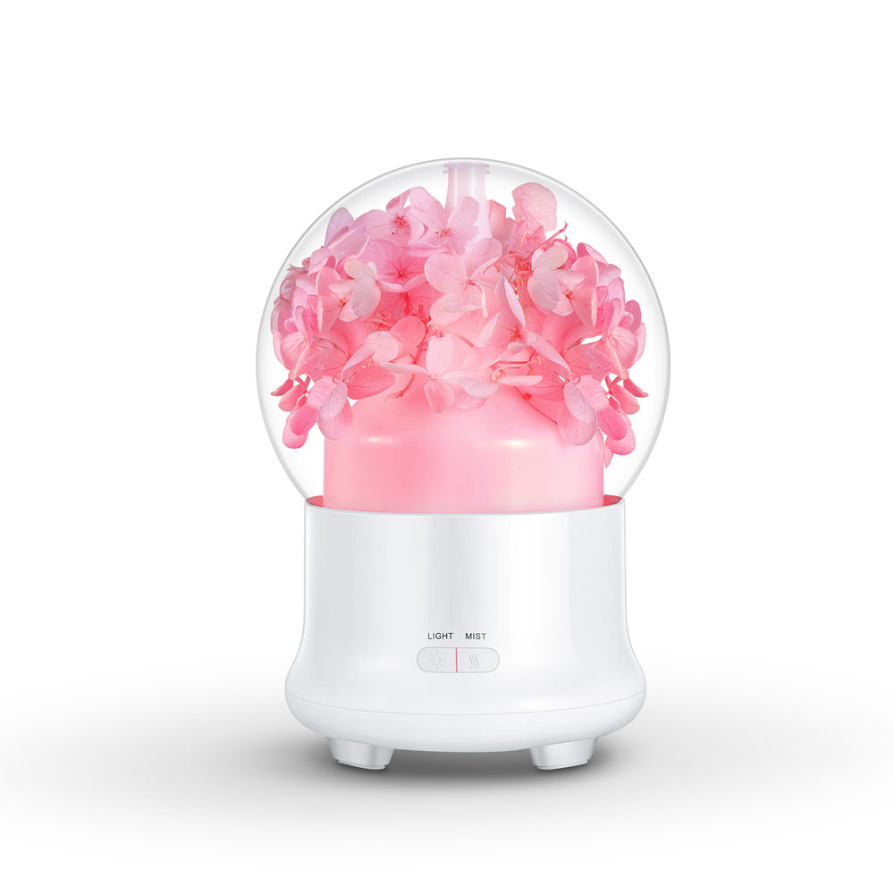 Preserved flower aroma diffuser