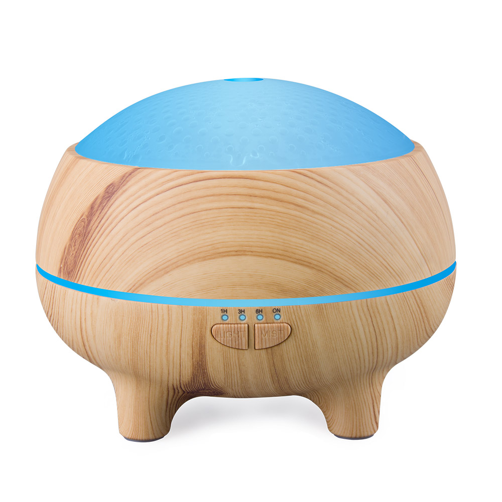 Aromatherapy Diffuser-H5528A