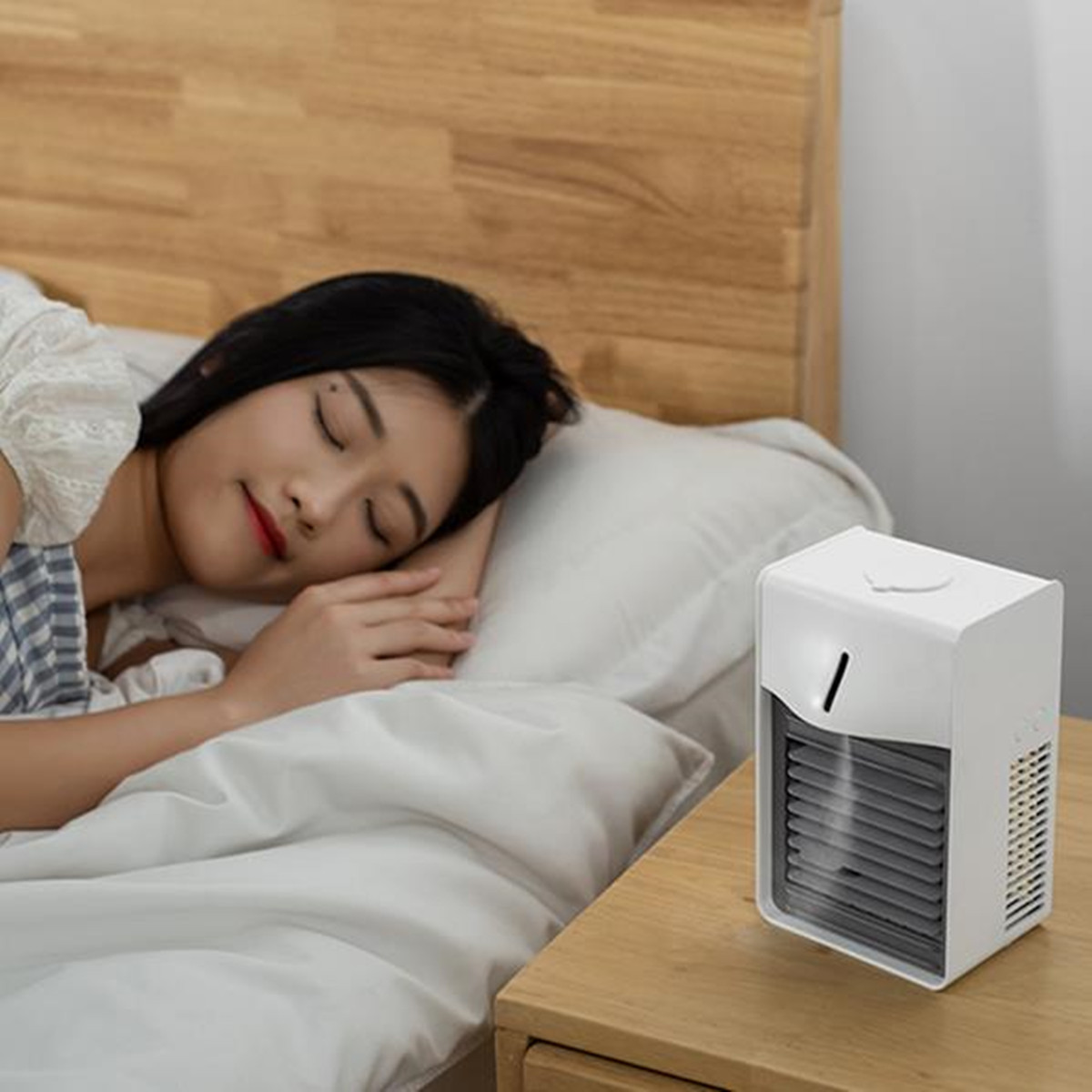 desk anion mist fan