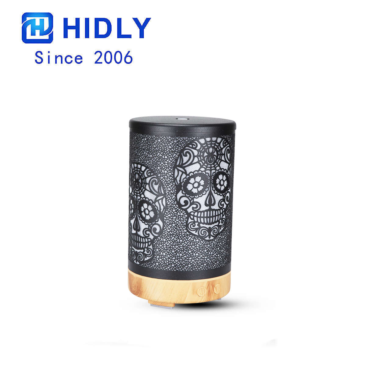 Skeleton Essential Oil Diffuser-HTY191